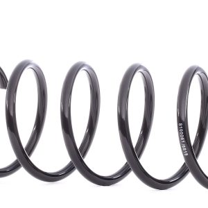 RIDEX 188C0060 Coil spring