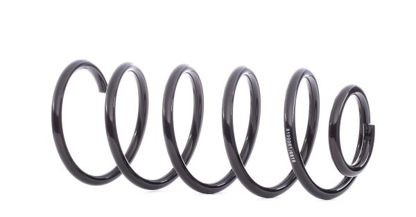 RIDEX 188C0060 Coil spring