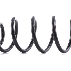 RIDEX 188C0070 Coil spring for AUDI A4