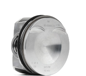 IPSA PI086900 Piston